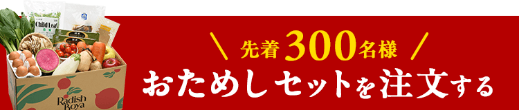 お野菜献立おためしセット