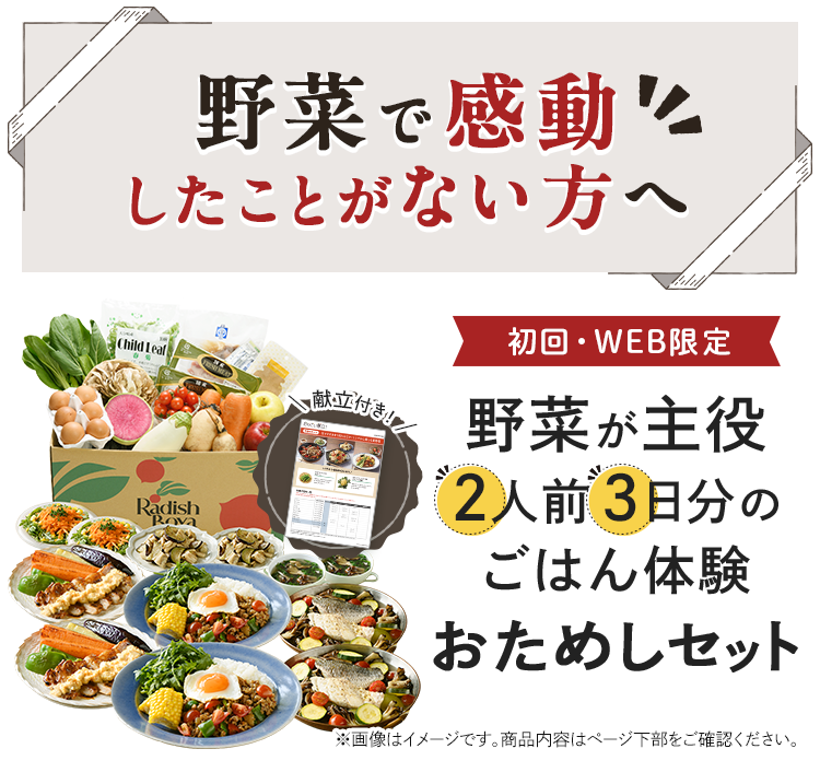 初回WEB限定 旬野菜で作れる お野菜献立おためしセット