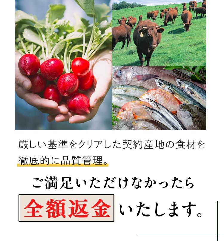 嬉しいポイント！献立・買い物不要！簡単なのにバランスよし！無理なく使い切れる！