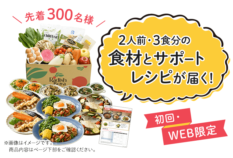 送料無料 金額返金保証 お野菜献立 おためしセット 1,980円(税込)