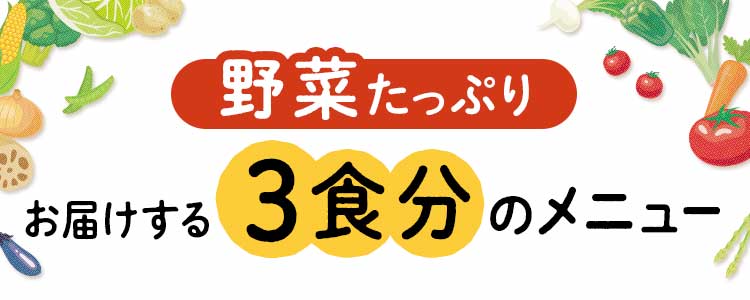 野菜たっぷりお届けする3食分のメニュー