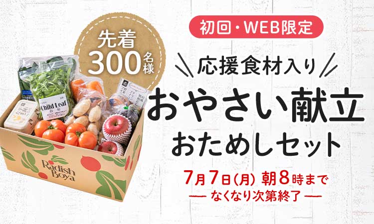 送料無料 金額返金保証 お野菜献立 おためしセット 1,980円(税込) 期間限定6/26(木)8:00まで