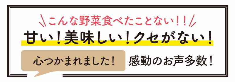 ご利用者さまからのコメント