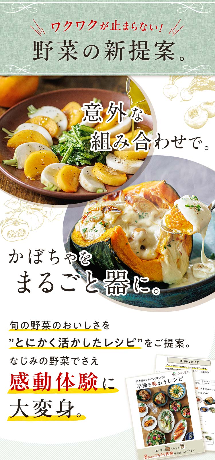 ワクワクする野菜の新提案