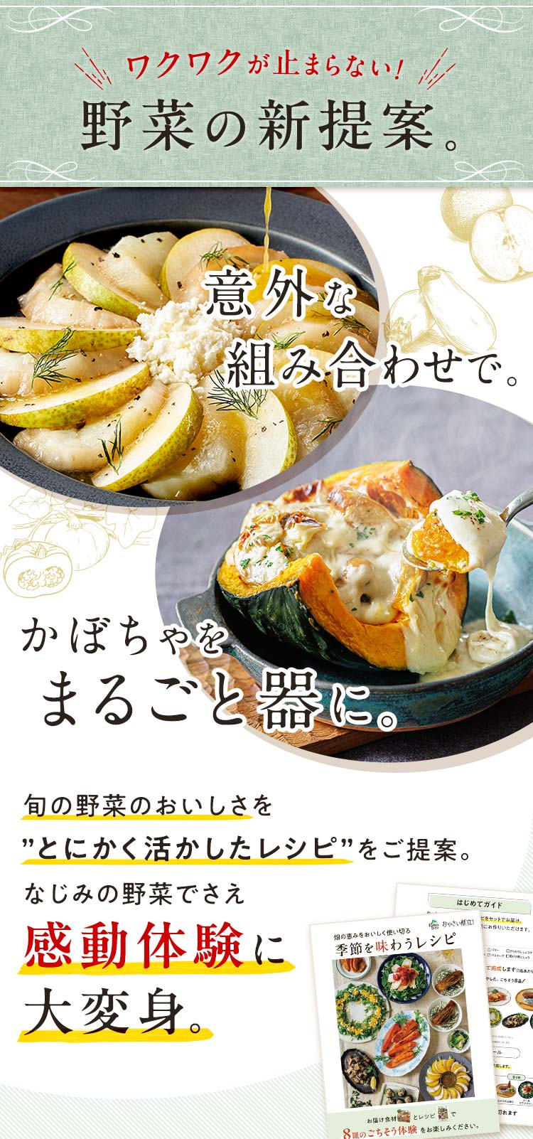 公式】らでぃっしゅぼーや お野菜献立おためしセット