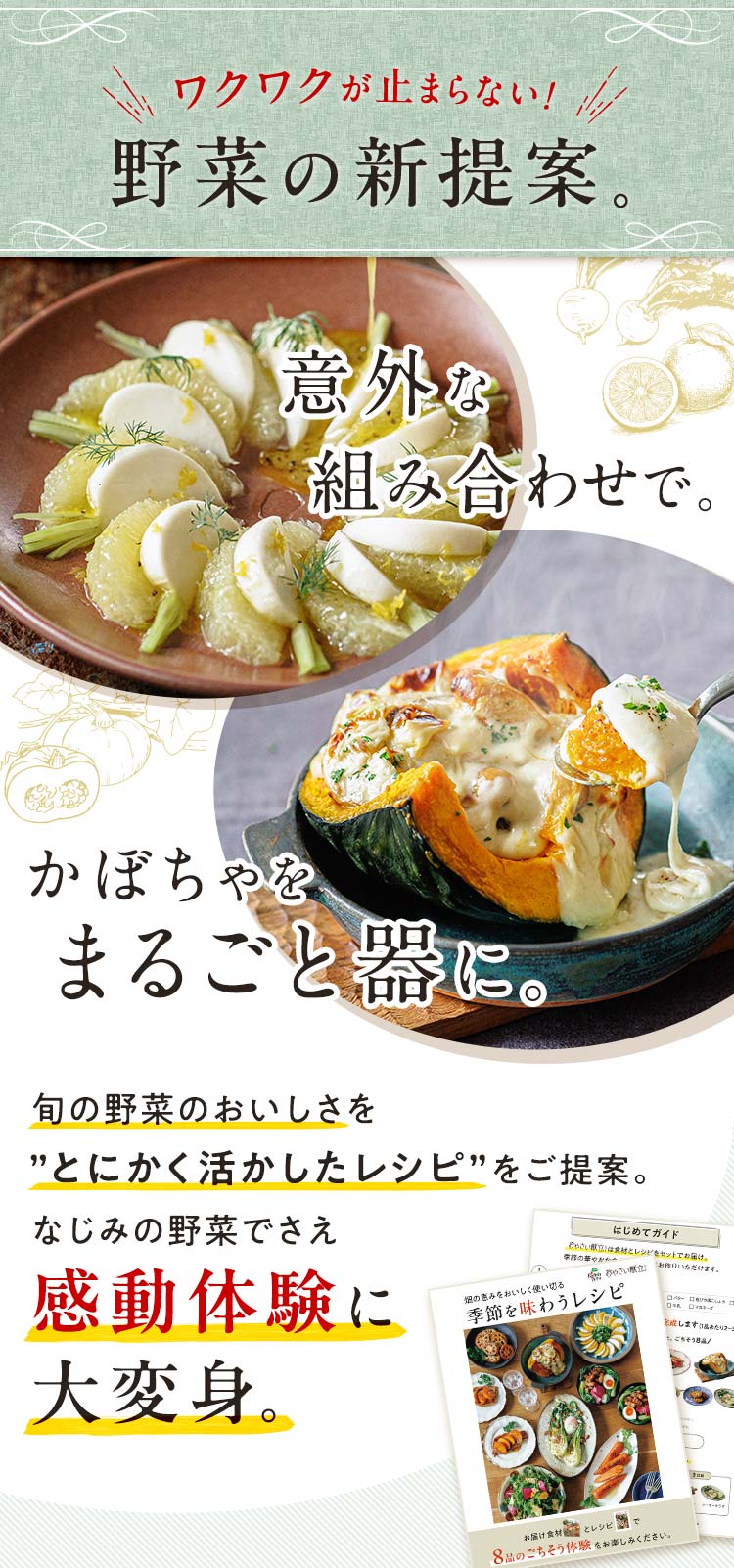 ワクワクが止まらない野菜の新提案。