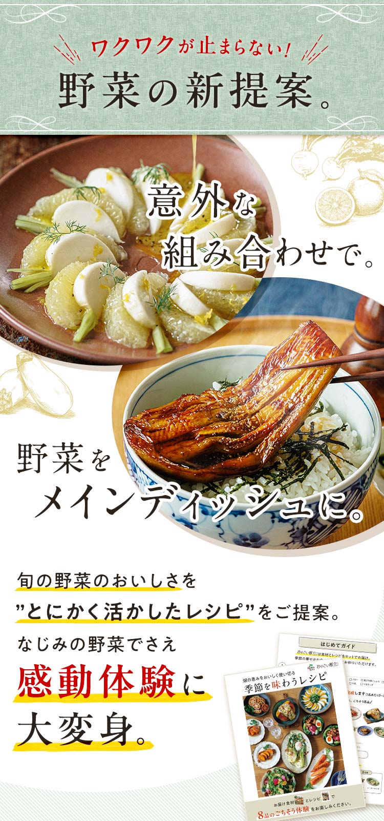 食べるたび、野菜の概念が変わる_畑から届く８皿のごちそう体験。