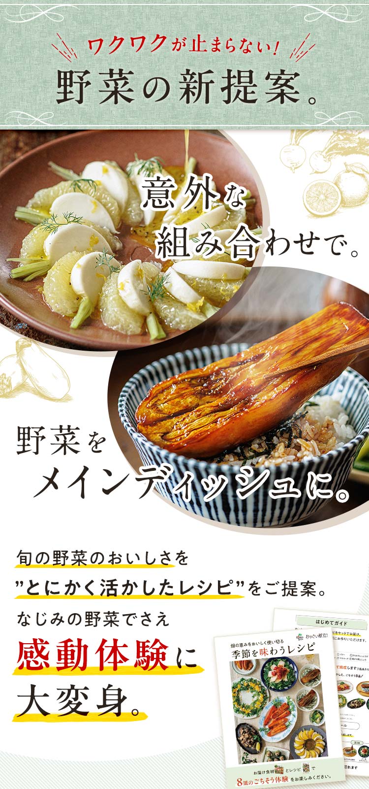 食べるたび、野菜の概念が変わる_畑から届く８皿のごちそう体験。