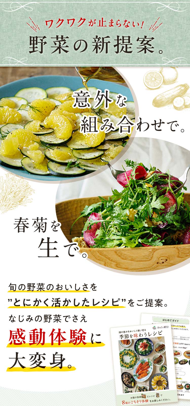 食べるたび、野菜の概念が変わる_畑から届く８皿のごちそう体験。