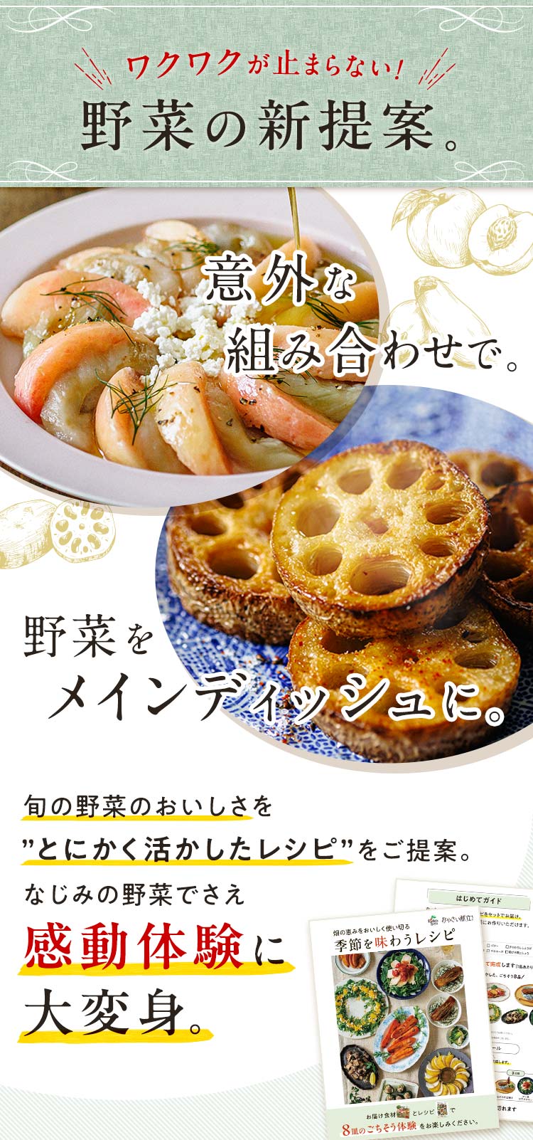 食べるたび、野菜の概念が変わる_畑から届く８皿のごちそう体験。
