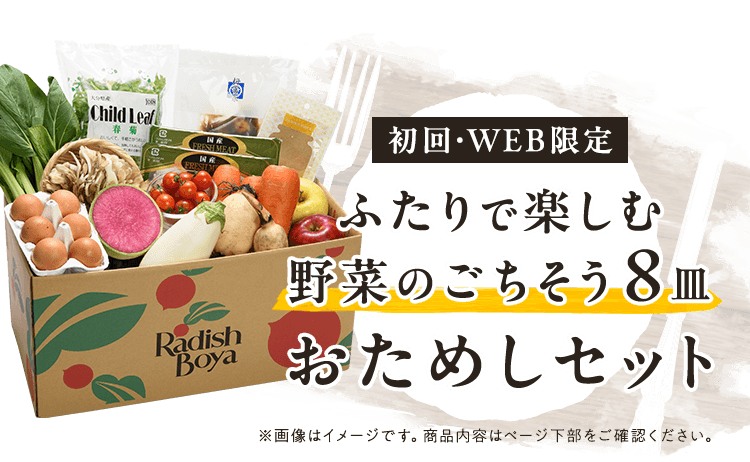 送料無料 金額返金保証 お野菜献立 おためしセット 1,980円（税込）