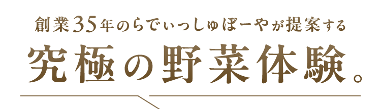 初回WEB限定 応援食材入り