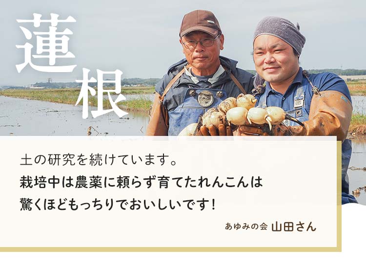 れんこんステーキ