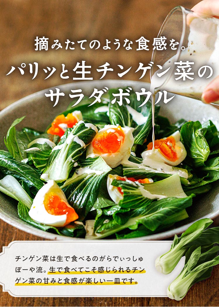 生チンゲン菜とたまごサラダボウル