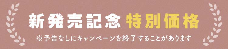 新発売記念 特別価格