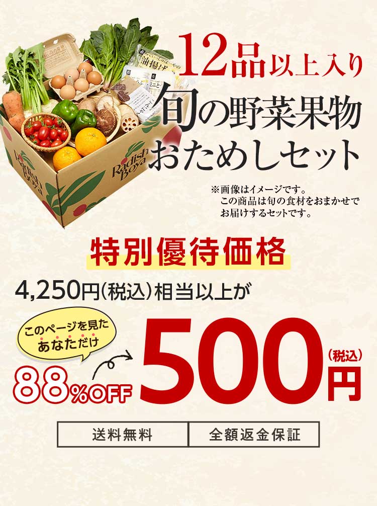 送料無料 金額返金保証　おまかせ野菜ボックス おためしセット 1,480円（税込）