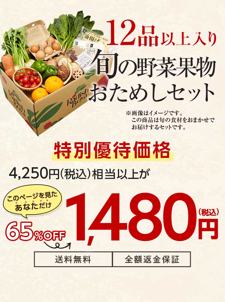 送料無料 金額返金保証　おまかせ野菜ボックス おためしセット 1,480円（税込）