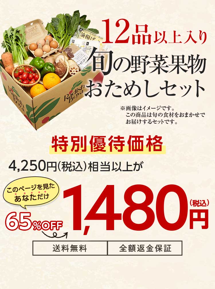 送料無料 金額返金保証　おまかせ野菜ボックス おためしセット 1,480円（税込）