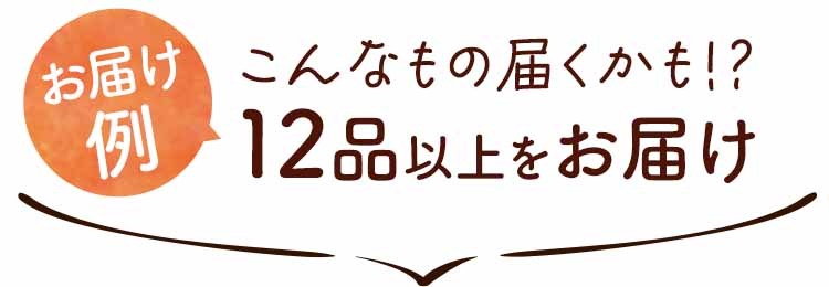 こんなもの届くかも！？ お届け例12品以上をお届け