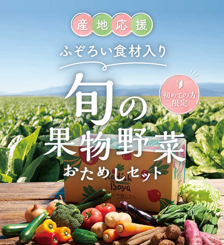 初回限定！おまかせ野菜ボックス おためしセット