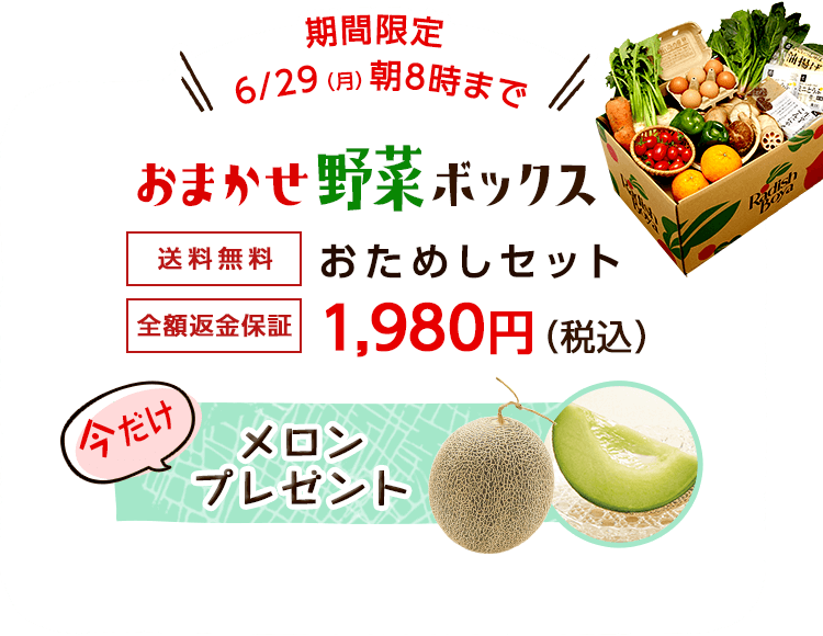 送料無料 金額返金保証　おまかせ野菜ボックス おためしセット 1,980円（税込）　今だけらでぃっしゅのラーメンプレゼント