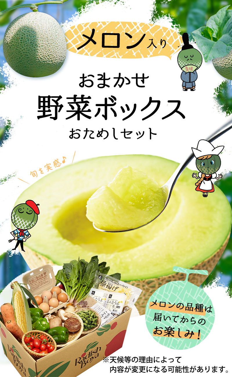 素のままを食卓へ　おまかせ野菜ボックス おためしセット　目利きのバイヤーと、妥協しない生産者たちが自信をもってお届け。ぜひ“素のまま”を味わってください。