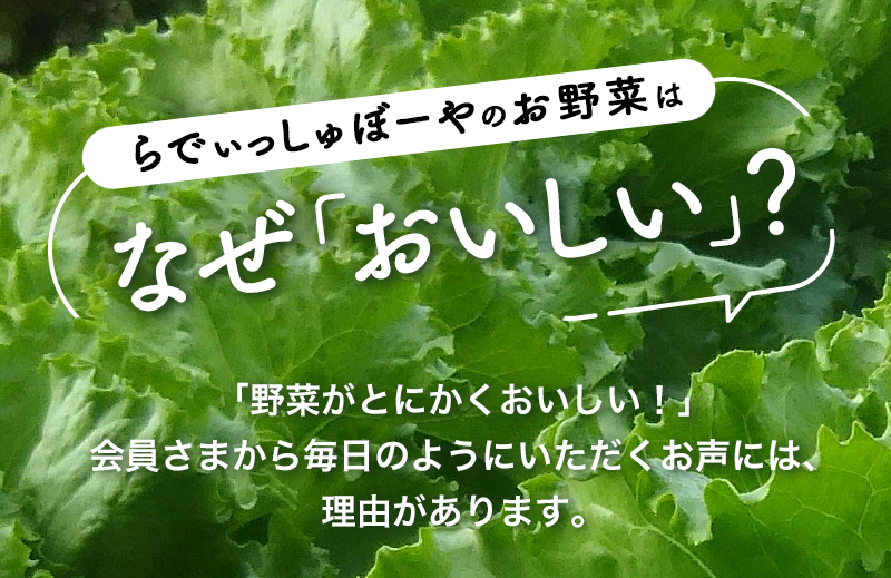 らでぃっしゅぼーやのお野菜はなぜ「おいしい」？