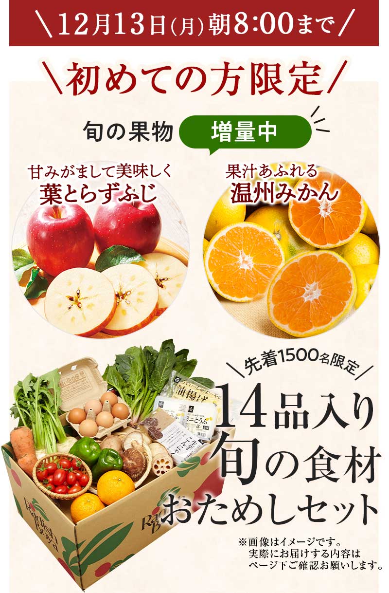 送料無料 金額返金保証　おまかせ野菜ボックス おためしセット 1,980円（税込）　期間限定12/13(月)朝8:00まで