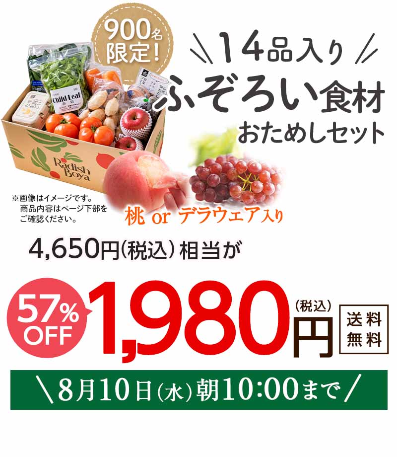 確認用ページ