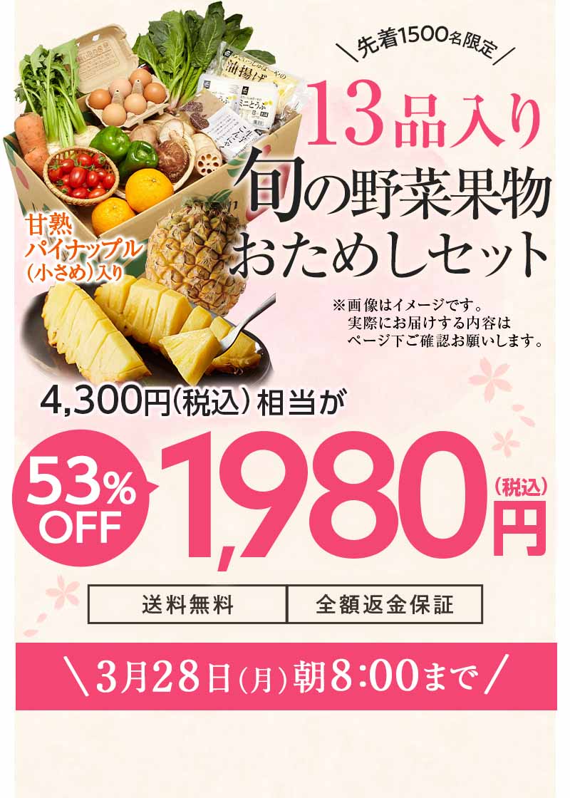 送料無料 金額返金保証　おまかせ野菜ボックス おためしセット 1,980円（税込）　期間限定3/21(月)朝8:00まで