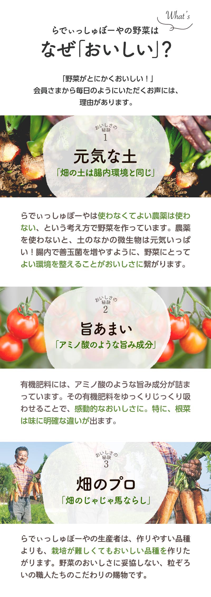 らでぃっしゅぼーやの野菜はなぜ「おいしい」？