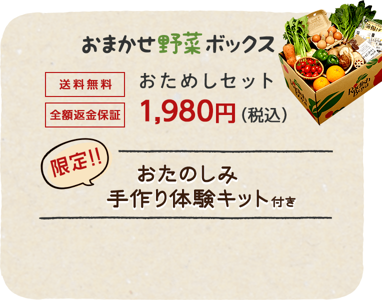 送料無料 金額返金保証　おまかせ野菜ボックス おためしセット 1,980円（税込）　今だけらでぃっしゅのラーメンプレゼント