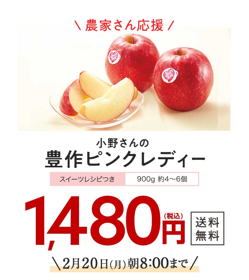 送料無料 金額返金保証 おまかせ野菜ボックス おためしセット 1,480円(税込) 期間限定2/20(月)朝8:00まで