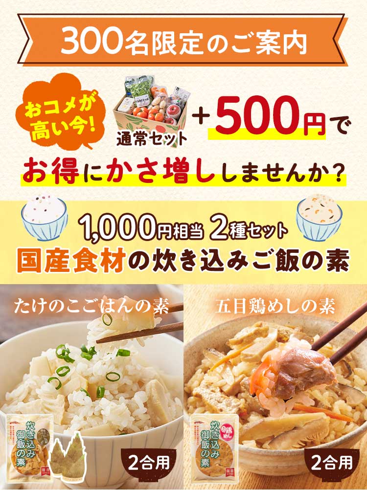 特別なご案内 通常セット＋500円　春ごはん