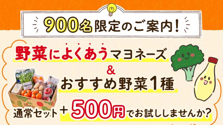 900名様限定のご案内 通常セット＋500円　野菜によく合うマヨネーズ＆おすすめ野菜1種ブロッコリー