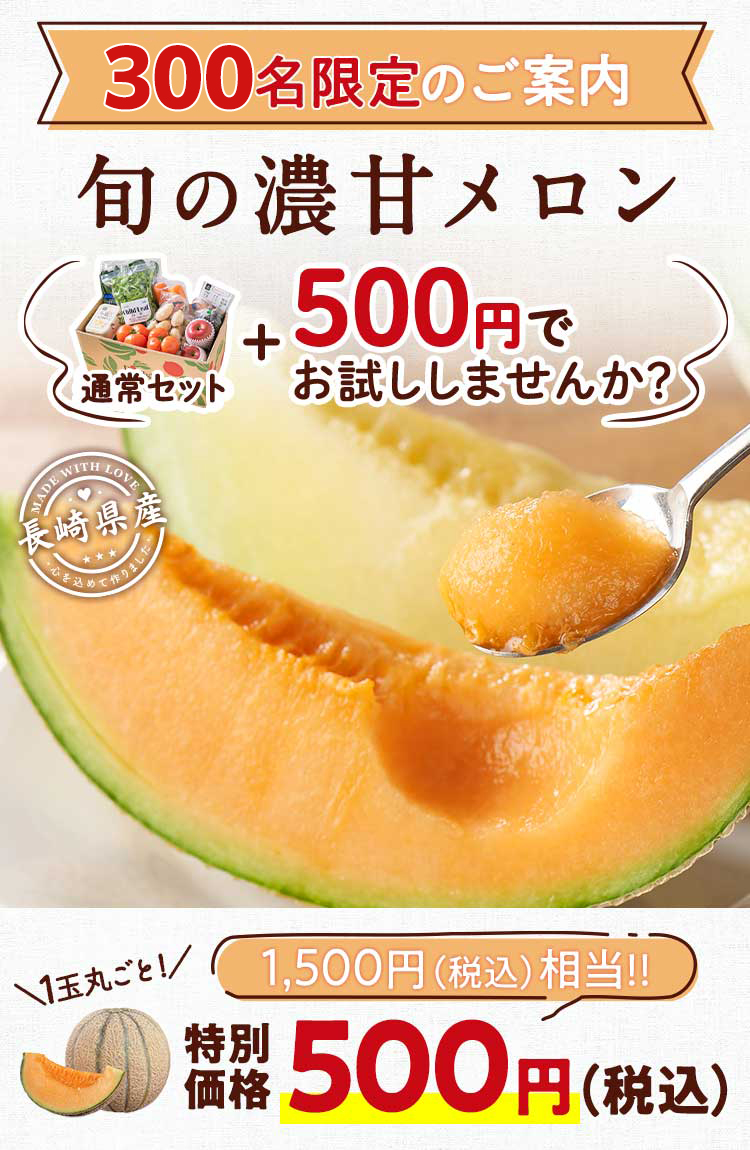 特別なご案内 通常セット＋500円 旬の濃甘メロン