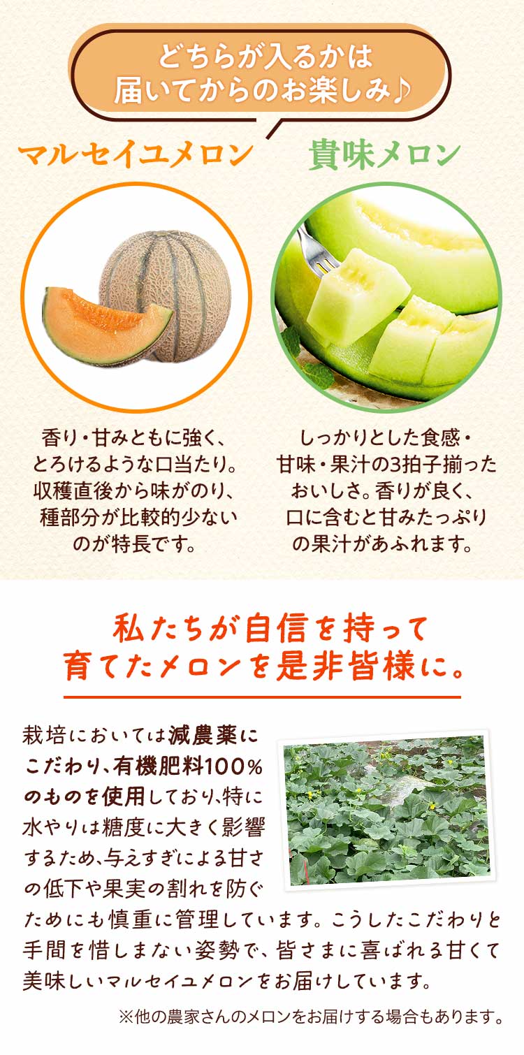 甘熟ちび沖縄パイン