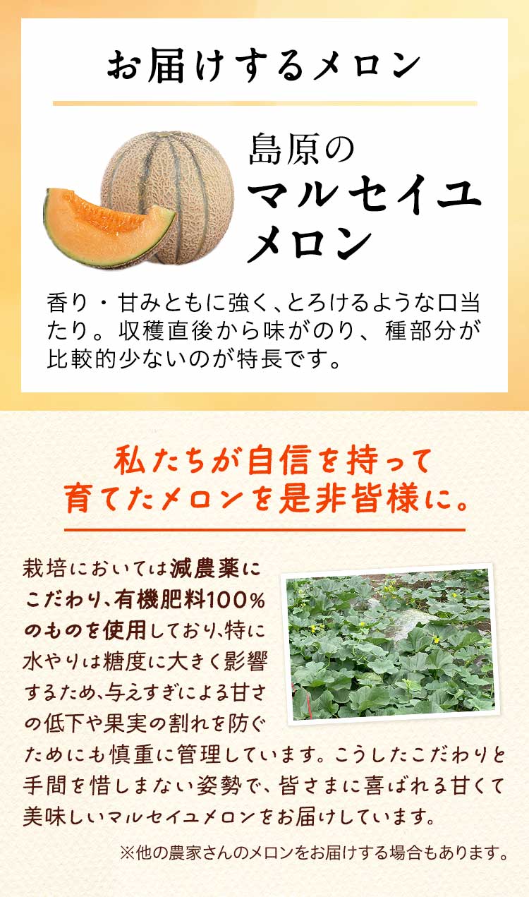 春ごはん