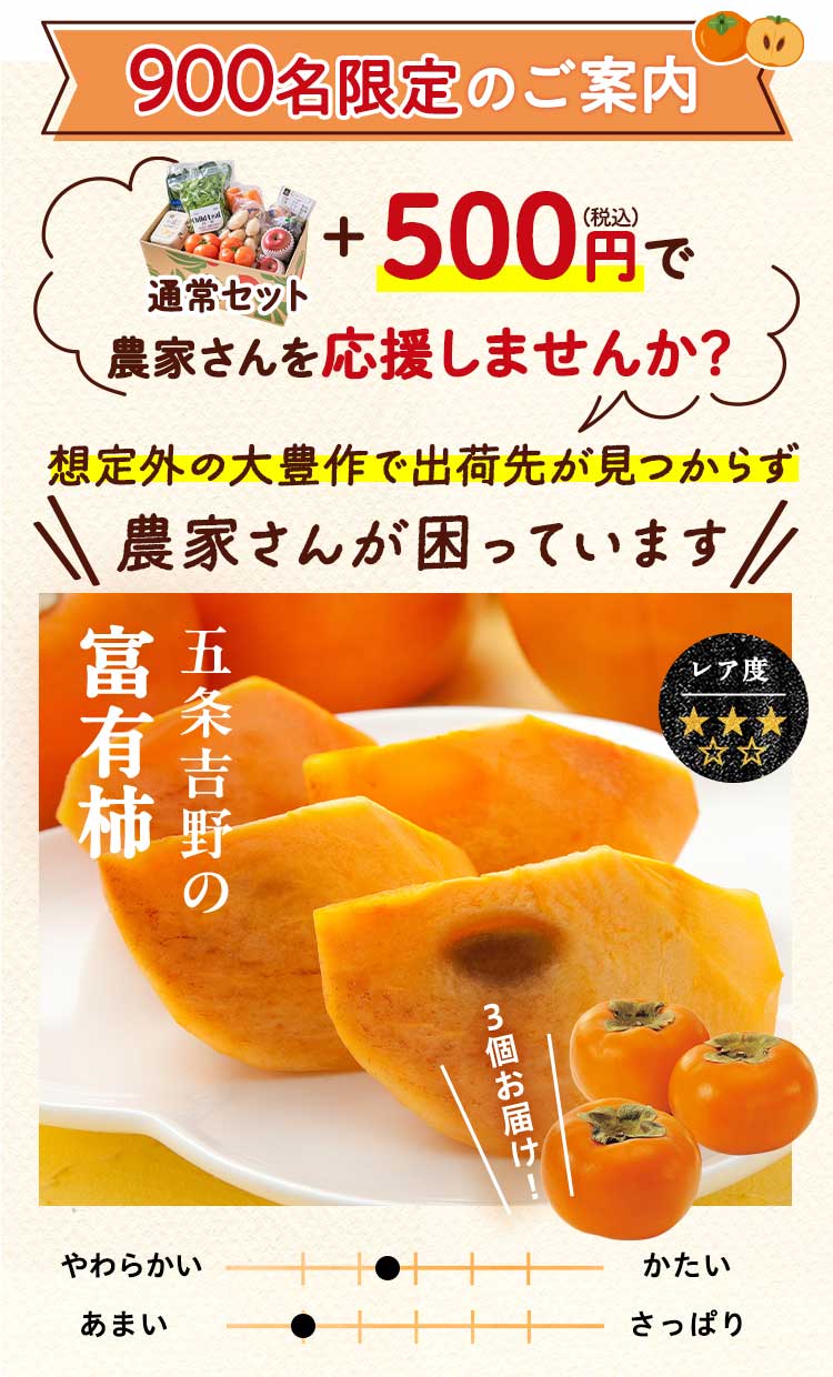 数量限定　特別なご案内　豊作じゃがいもとふぞろい玉ねぎ 通常セット＋500円で応援する