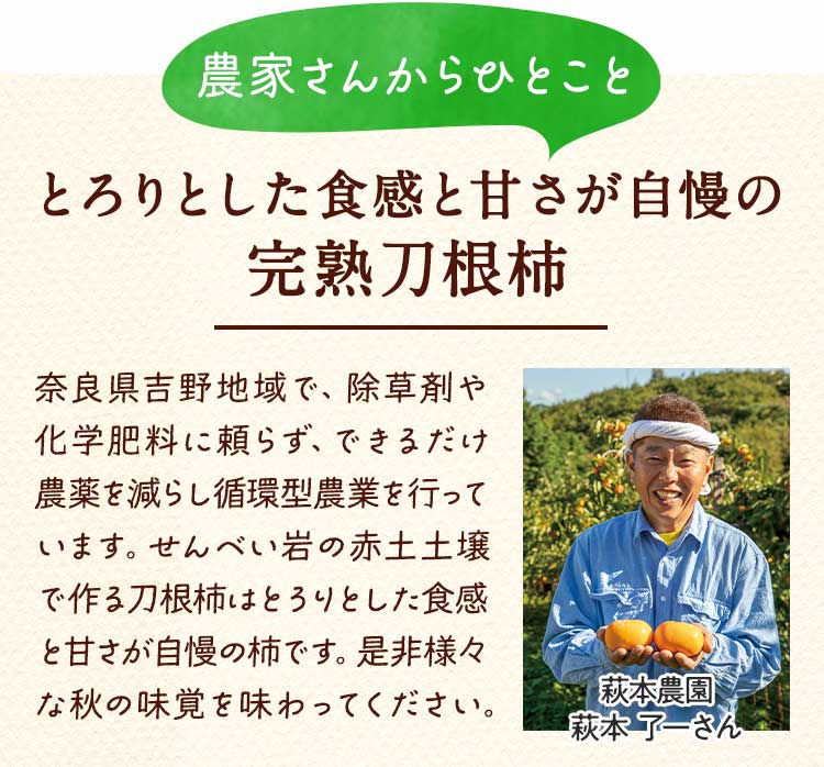 農家さんからのコメント　とろりとした食感と甘さが自慢の完熟刀根柿