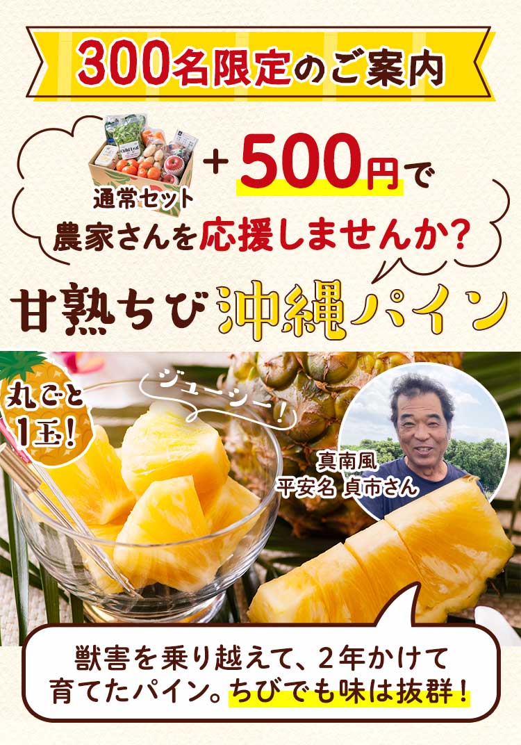 特別なご案内 通常セット＋500円　甘熟ちび沖縄パイン