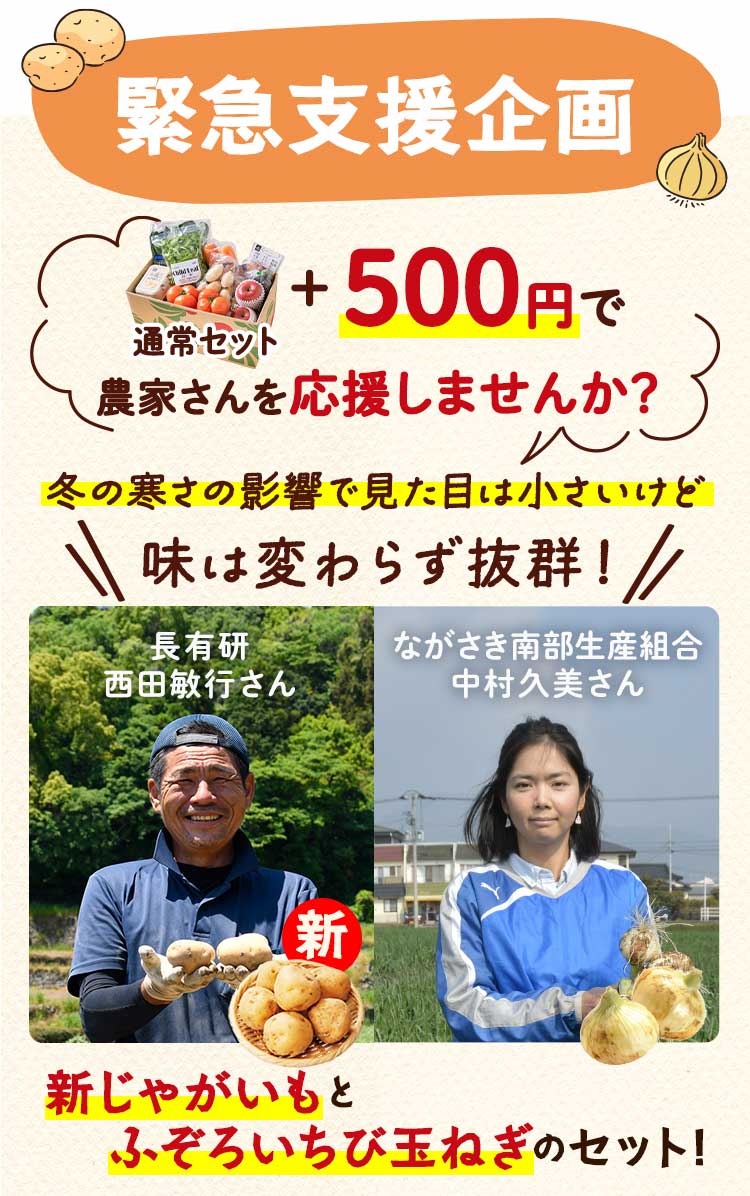 数量限定　特別なご案内　甘みと酸味のバランス！ふぞろいいちご 通常セット＋500円で応援する