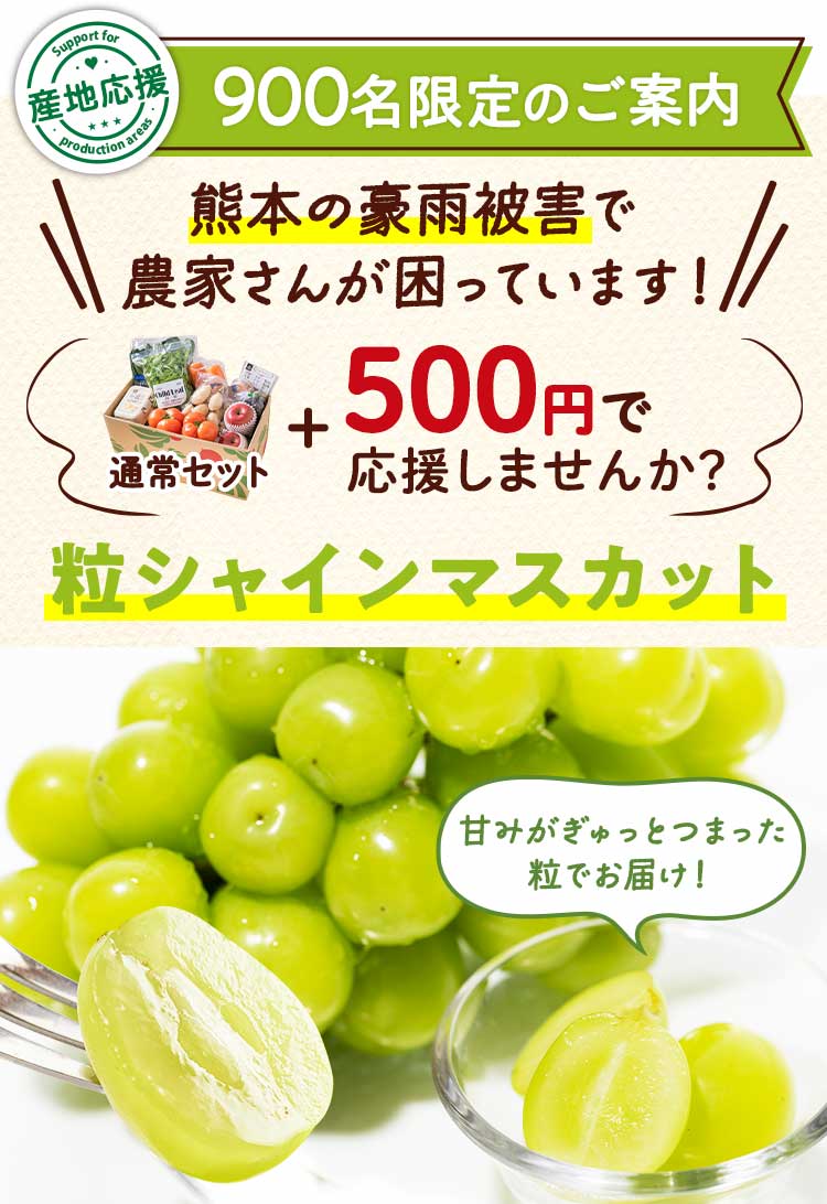数量限定　特別なご案内　粒シャインマスカット 通常セット＋500円で応援する