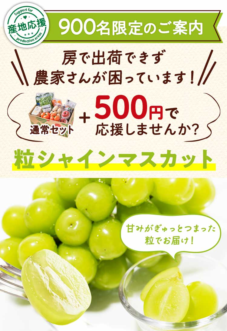 数量限定　特別なご案内　粒シャインマスカット 通常セット＋500円で応援する