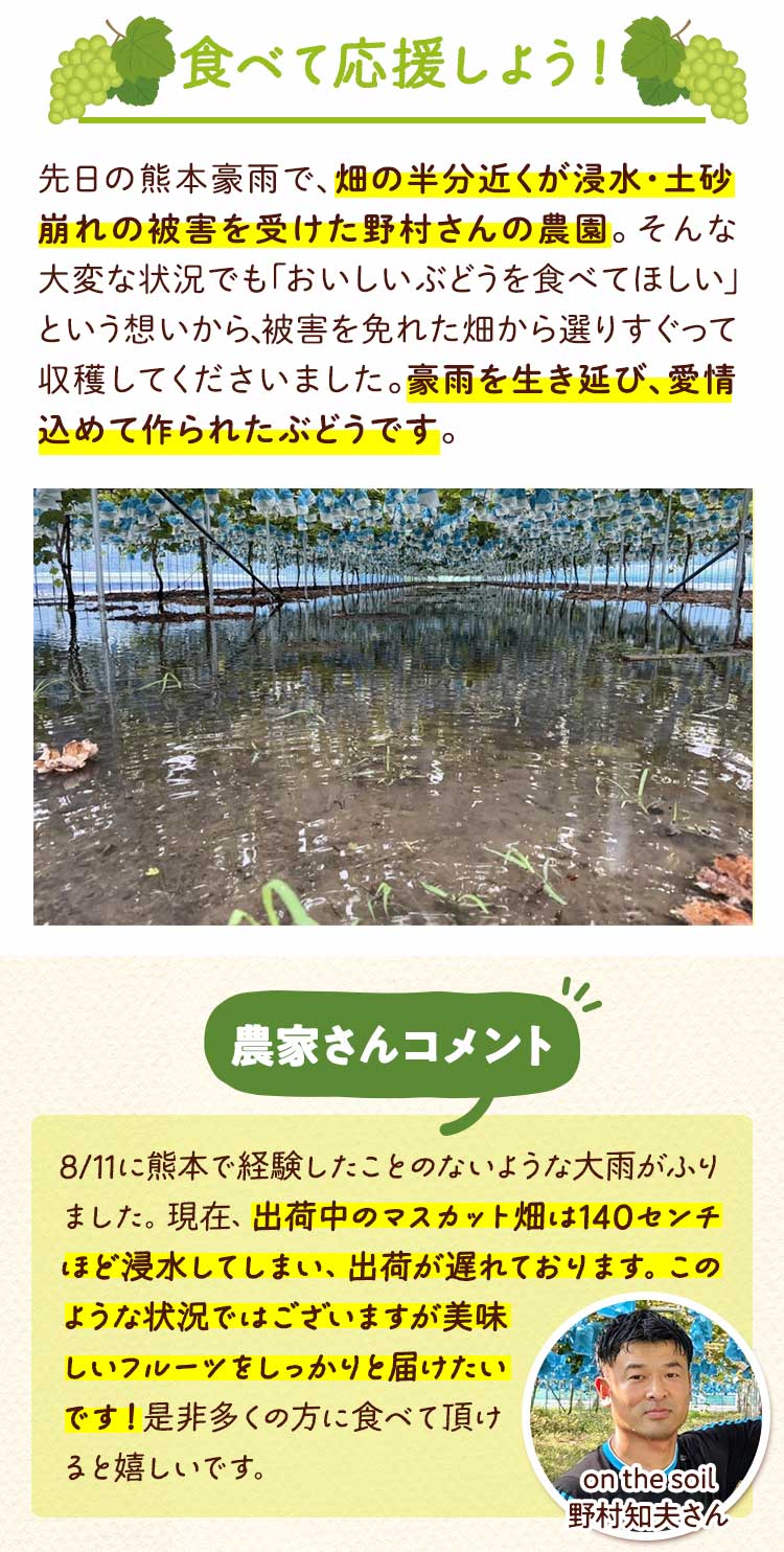 農家さんからのコメント