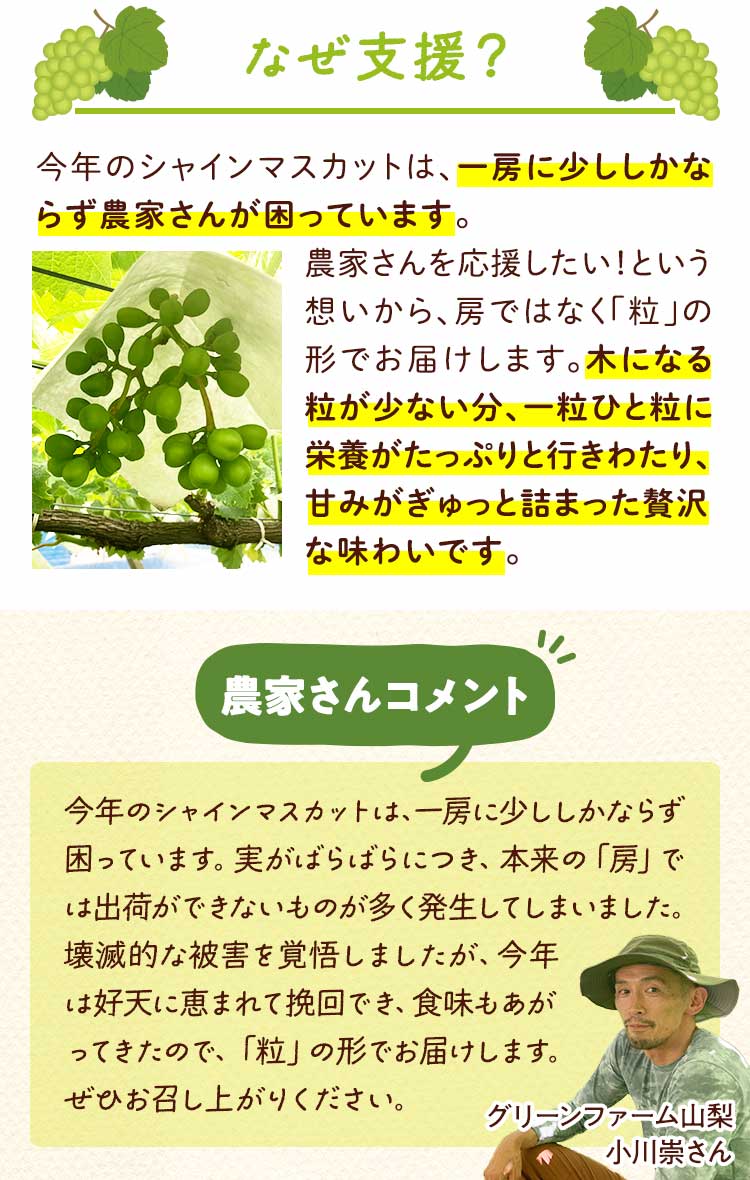 農家さんからのコメント
