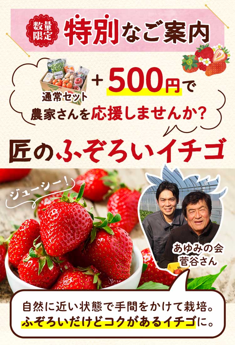 数量限定　特別なご案内　甘みと酸味のバランス！ふぞろいいちご 通常セット＋500円で応援する