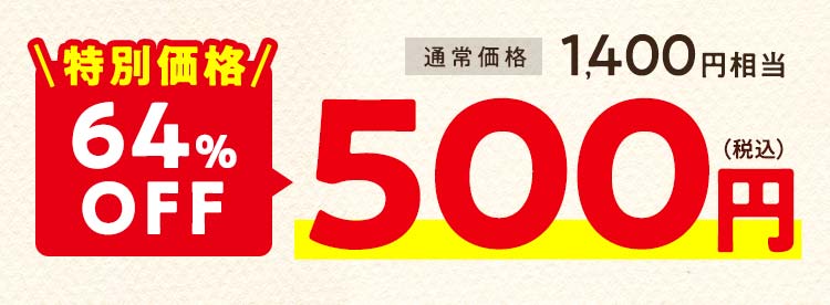 特別価格 500円