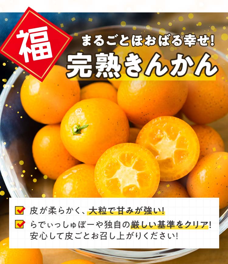 まるごとほおばる幸せ！完熟きんかん