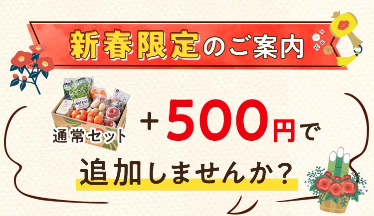 通常セットに＋500円でおためししませんか